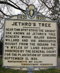 Image for Jethro's Tree