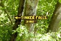 Image for Trail to Tinker Falls - Fabius, NY