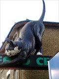 Image for The Catford Cat