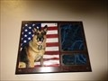 Image for Sunport Retired Working Dogs - Albuquerque, NM
