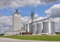 Image for The Maschhoffs Grain Elevator