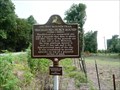 Image for Schackleford Church Mounds: Ancient Mounds Trail