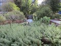 Image for SJSU Botany Garden - San Jose, CA