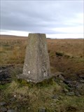 Image for Triangulation Pillar- Druidical Circle, Cheetham Close,Turton,Lancashire.