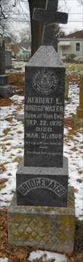 Image for Herbert E. Bridgewater - Mt. Mora Cemetery - St. Joseph, Mo.
