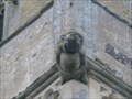 Image for St Mary's Church Gargoyles - High Street, Little Addington, Northamptonshire, UK