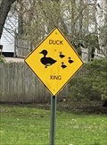 Image for Duck Crossing - Milford, CT
