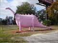 Image for Pepto Dinosaur - "Time Travelers" - Spring Hill, Florida, USA
