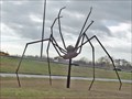 Image for Spider - Houston, TX