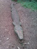 Image for Crocodile - Rendlesham Forest, Suffolk