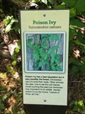 Image for Poison Ivy - Pilot Point, TX