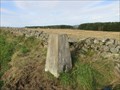 Image for O.S. Triangulation Pillar - The Neuk, Aberdeenshire.