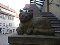 Image for The Cat - Horb, Germany, BW