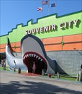 Image for Souvenir City - Shark - Orange Beach, Gulf Shores, Alabama, USA.