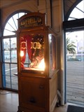 Image for Estrella's Prophecies - Looff Hippodrome  -   Santa Monica, CA