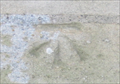 Image for Cut benchmark - Aldwincle Church - Northant's