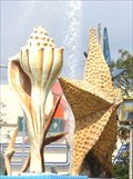 Image for Seashells - Cancun, Mexico