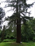 Image for Sequoiafarm - Nettetal-Kaldenkirchen - NRW - Germany
