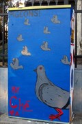 Image for Pigeons! - Brisbane, Australia