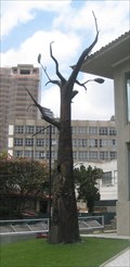 Image for Tree Statue - Sao Paulo, Brazil