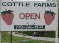 Image for Cottle Strawberry Farms -- Stockbridge, GA