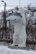 Image for Polarbear in Neiden - Finnmark, Norway