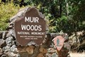 Image for Muir Woods National Monument
