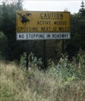 Image for Twelve Miles of Moose, New Hampshire