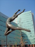 Image for "Soaring" Soongsil University  -  Seoul, Korea