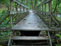 Image for First Bridge on the Siltstone Trail, Jefferson Memorial Forest, Kentucky
