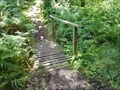 Image for Fairy Trail Footbridge - Portpatrick, Scotland, UK