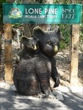 Image for 'Lone Pine' Koala Sanctuary - Fig Tree Pocket - QLD - Australia