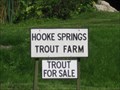 Image for Hooke Springs Trout Farm - Higher St Lane, Hooke, Beaminster, Dorset, UK
