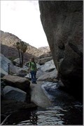Image for Palm Canyon - Anza Borrego State Park