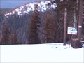 Image for Dodge Ridge Ski Area