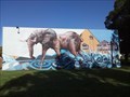 Image for Elephant - Hamilton, NSW, Australia