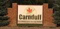 Image for Carnduff - A Community on the move!