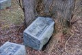Image for Headstone Eating Tree - Painted Post, NY