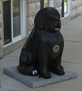 Image for Seaman - Lewis & Clark's Mascot - St. Charles, MO