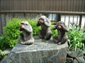 Image for Monkies at Shibamata - Tokyo, JAPAN