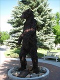 Image for Rocky Bear - Billings, Montana