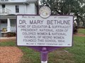 Image for Votes for Women - Dr. Mary Bethune