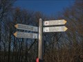 Image for Hiking Trail Arrows (3) Marienthal  - RLP / Germany