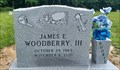 Image for Builder - James E. Woodberry III - Hebron Cemetery, Clarksville, TX