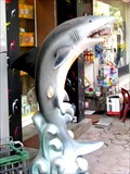 Image for Hai Ba Trung Street  Shark - Hanoi, Vietnam