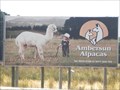 Image for Ambersunalpacas - Mt Compass SA, Australia
