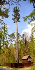 Image for Fake Pine Tree Tower / Falesna borovice (Nouzov, Czech Republic)