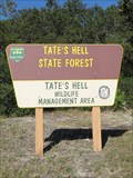 Image for Big Bend Scenic Byway - Tate's Hell State Forest - Carrabelle, Florida.