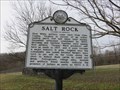 Image for Salt Rock