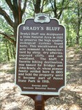 Image for BRADY'S BLUFF